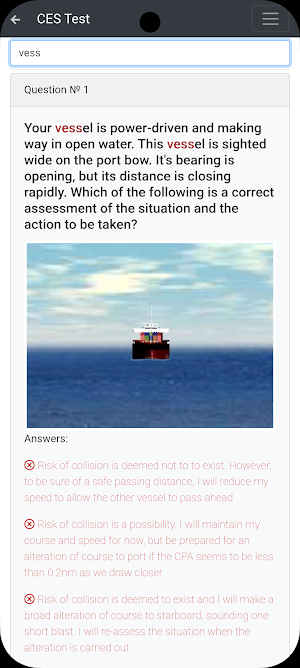 Chemical Tanker. Manag. Deck Screenshot 2