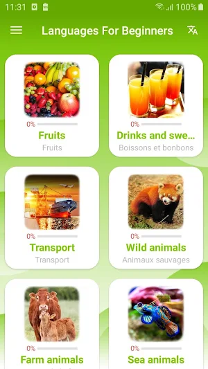 Languages For Beginners - Awabe Screenshot 3