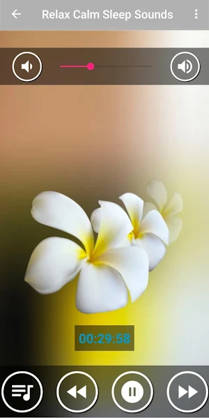 Soothing Music for Relaxing Screenshot 0