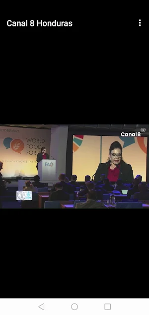 Canal 8 Honduras Screenshot 0
