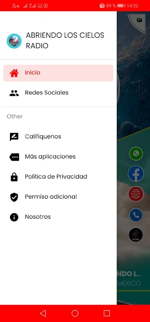 ABRIENDO LOS CIELOS D VICENTE Screenshot 1