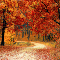 Fall Wallpapers Aesthetic 4K