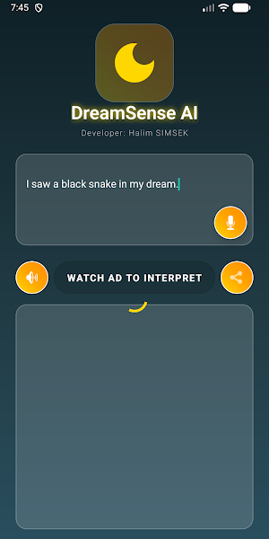 DreamSense Screenshot 2