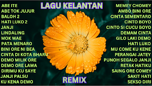 Lagu Kelantan Remix Offline Screenshot 0