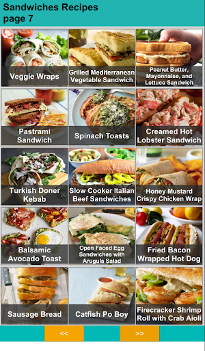 150 Homemade Sandwich Recipes Screenshot 3