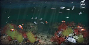 Sea Shore Aquarium Screenshot 2