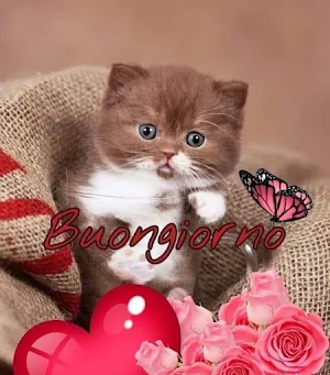 Buongiorno Immagini Screenshot 1