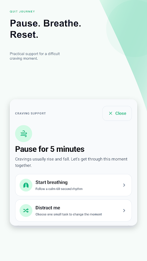 Quit Smoking Tracker Screenshot 3