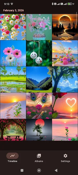 Clean Gallery Screenshot 0