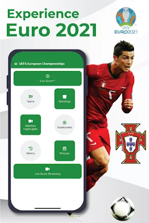 UEFA EURO CUP Screenshot 0