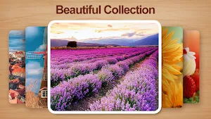 Shape Sort-jigsaw puzzle Screenshot 2