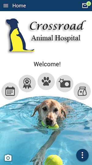 CrossroadVet Screenshot 0