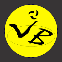 Voleibarra