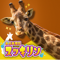 ビデオや電話、お悩み掲示板でフレンド作りもできる-スッキリン