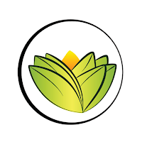 The Ayurveda Experience UK