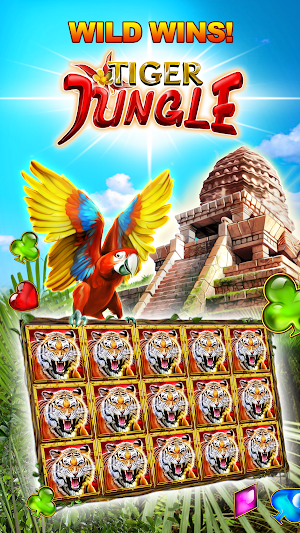 Double Diamond Casino Slots Screenshot 2