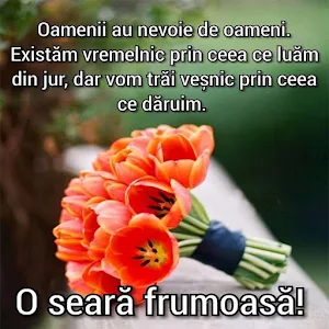 Bună Seara Screenshot 1