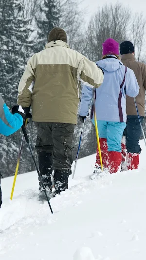 Snowshoeing Wallpaper Screenshot 1
