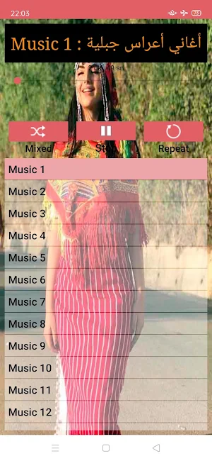 اغاني اعراس جبلية بدون نت Screenshot 1