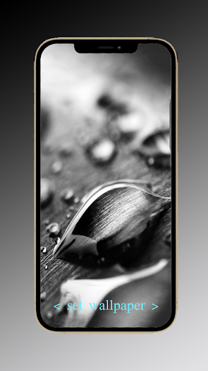 Black wallpapers 4k Screenshot 1