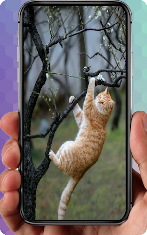 Cute Cat Wallpaper Lucu Screenshot 0