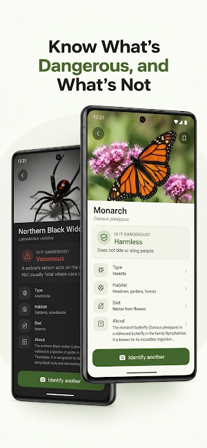 Buggy: Bug Identifier Screenshot 2