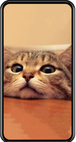 Cat Wallpapers Screenshot 0