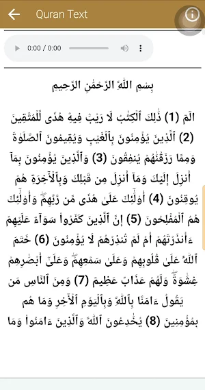 Abdul Basit Quran Mp3 Screenshot 3