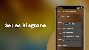 Accordion Sounds Screenshot 3