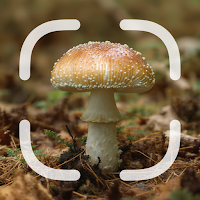 Mushroom Identifier