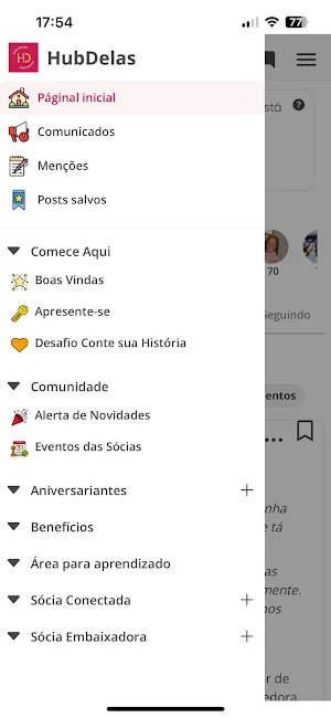 HubDelas Screenshot 0