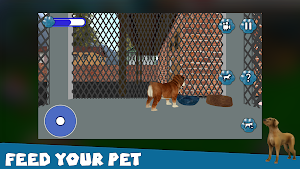 Pet Shelter Rescue Games 3D Screenshot 1