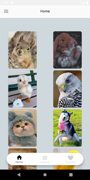 Cute Animal Wallpapers Screenshot 0