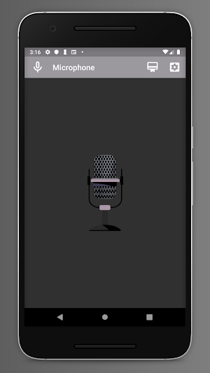 Microphone Screenshot 2