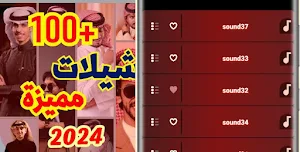 shilat Gulf shilat 2024 Screenshot 0