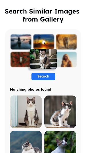 Photos: Photo Gallery, Album Screenshot 1