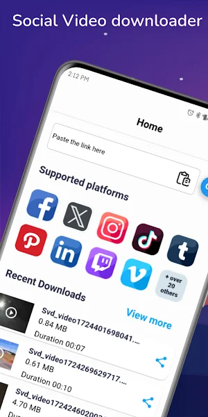 Social Video Downloader Screenshot 0