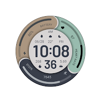 Tricolor Colored For Wear OS