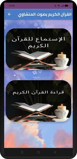 القرآن الكريم بصوت المنشاوي Screenshot 0