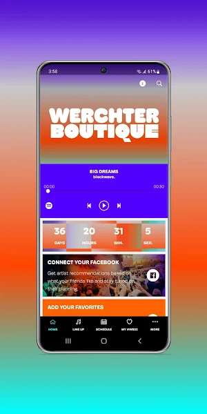 Werchter Boutique Screenshot 0