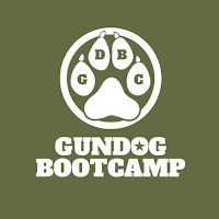 Gundog Bootcamp