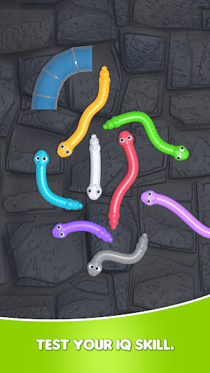 Snake Tangle Knot : Worm Zone Screenshot 1