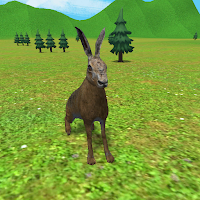 Rabbit game simulator 3d 2026