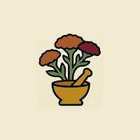 Yarrow: Identify & Blend Herbs