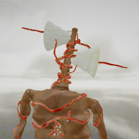 Scary Head : Horror Zone