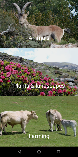 Nature Media Contents Screenshot 0