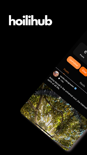 Hoilihub Screenshot 0