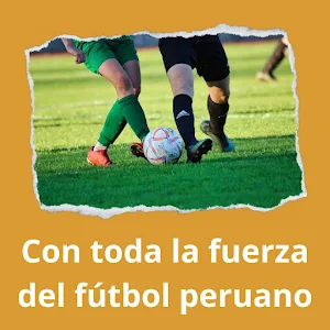 Fútbol Oro Doradobet Stats Screenshot 0