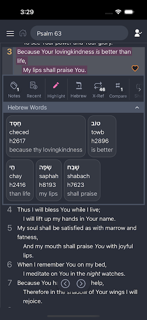 Rebuilding Faith Journal Screenshot 2