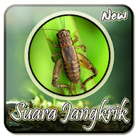 Suara Jangkrik Mp3 Full Offlin